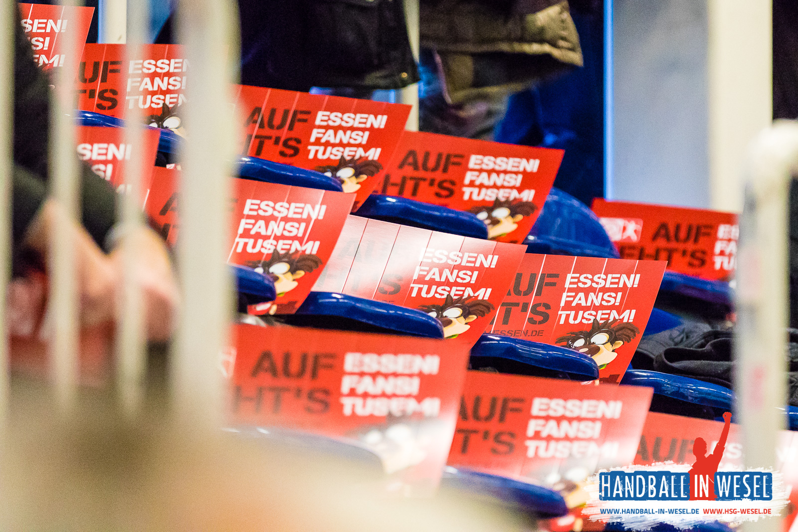 HSG Wesel E-Jugend / Einlaufkids TUSEM Essen 2017